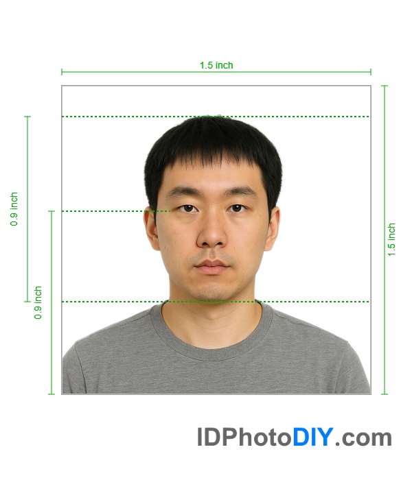 United States NY Gun License photo
